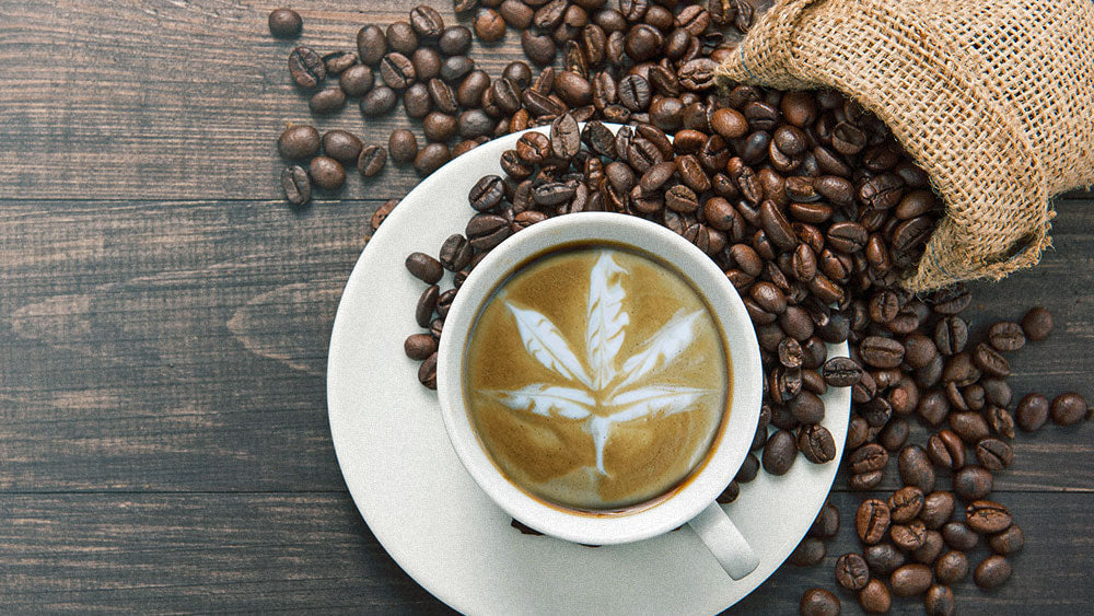 CBD & Coffee: Five Benefits of Adding CBD to Coffee