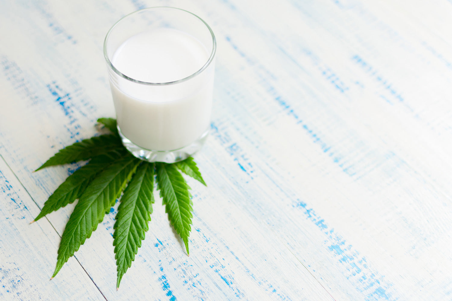 How To Make Hemp Milk: A Yummy Recipe