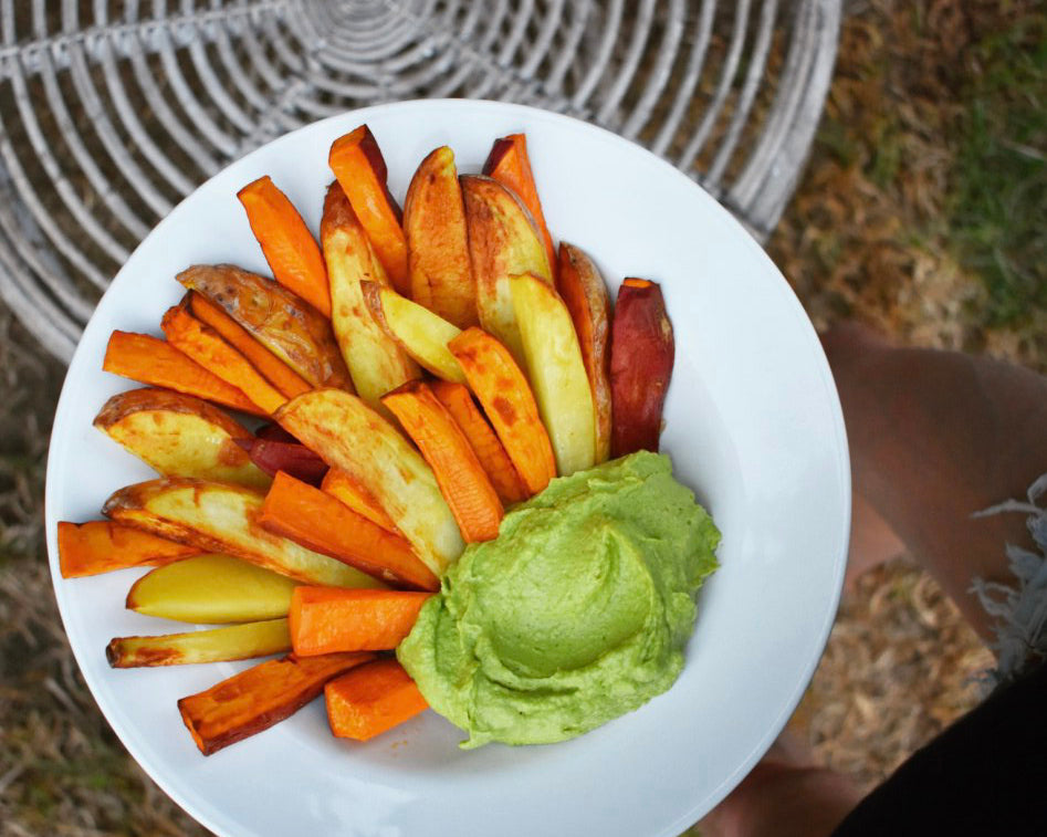 Gut Healing Protein Dip with Air Fried Fries!