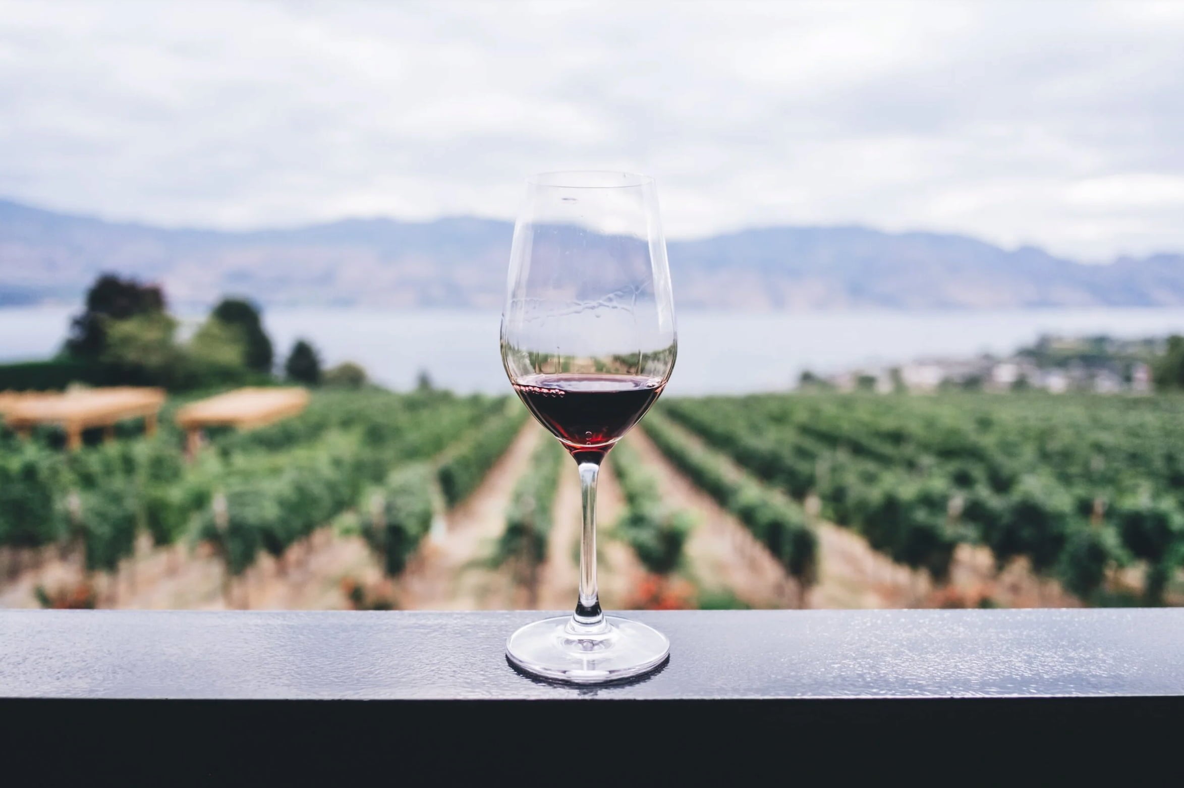 CBD Wine: Benefits & How To Make It at Home