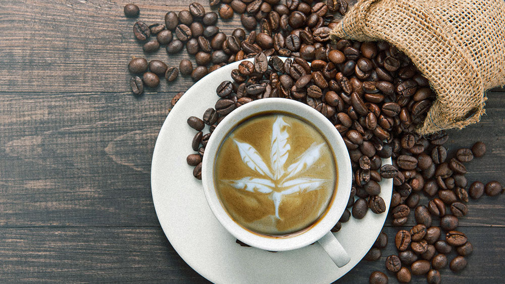 CBD & Coffee: Five Benefits of Adding CBD to Coffee
