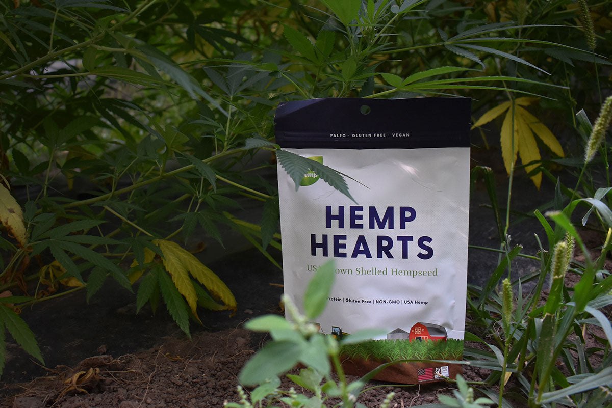 Unlocking the Health Benefits of Hemp Hearts: What You Need to Know