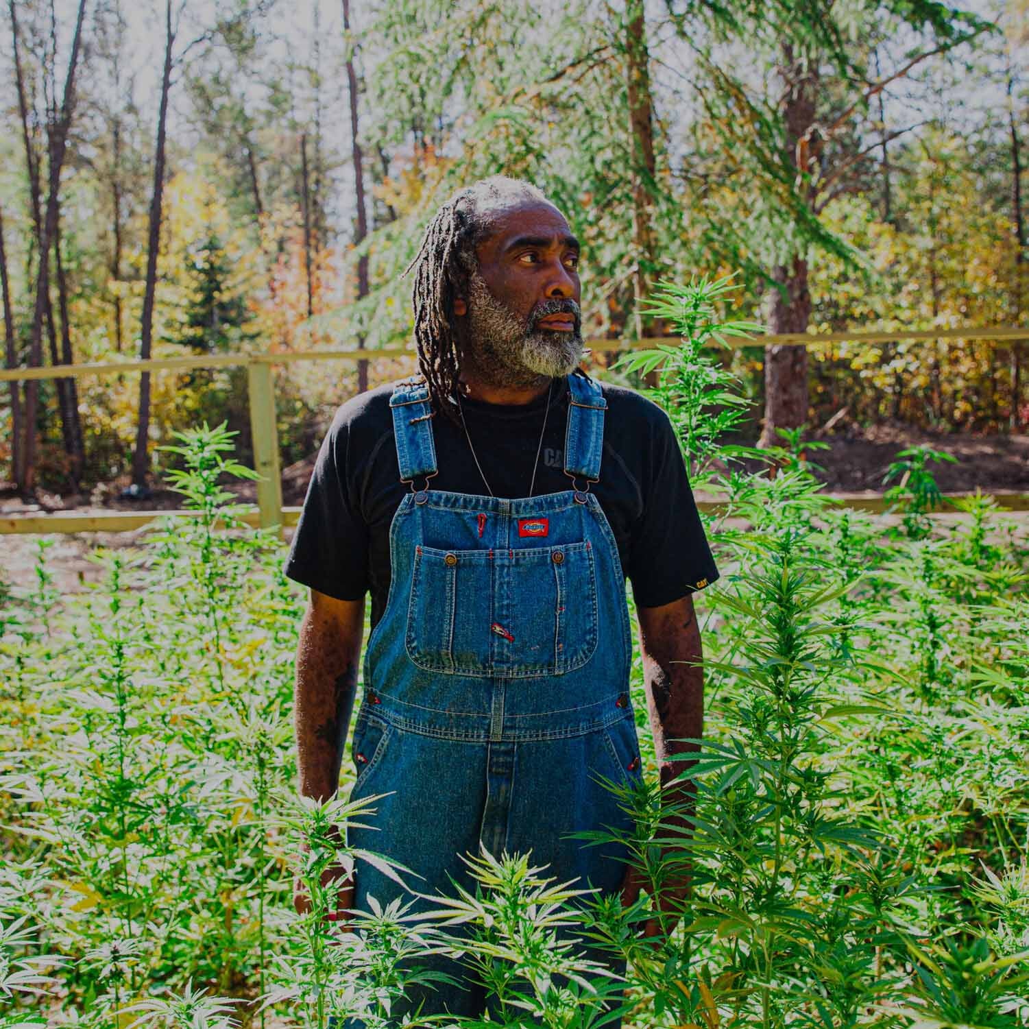 Evo Hemp lifestyle